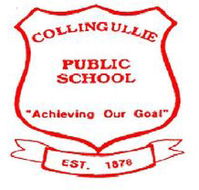 Corrimal Public School - Australia Private Schools