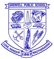 Grenfell Public School - School Find 0