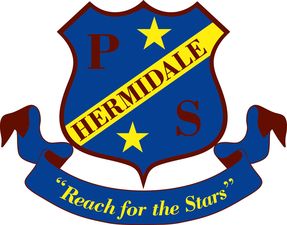Hermidale NSW School Find