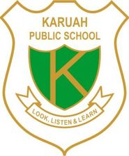 Karuah NSW School Find