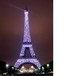 French Tutor Sydney