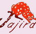 Jajirdi Consultants - Australia Private Schools