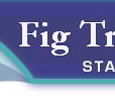 Fig Tree Pocket State School - Australia Private Schools