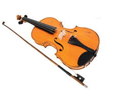 Violin Sports - School Education 0