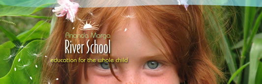  School Education