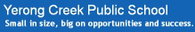 Yerong Creek NSW Schools and Learning School Education School Education