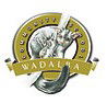 Wadalba NSW School Find