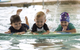 Marlins Swim School - thumb 13
