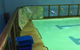 Shane Dowel's Swim School - thumb 2