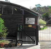 Treetops Montessori Primary School - School Education