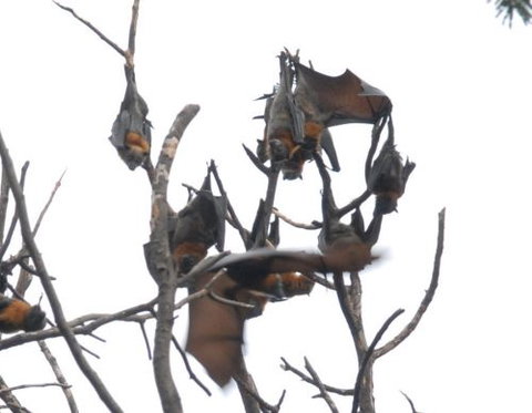 School Incursions Melbourne - School Find 0