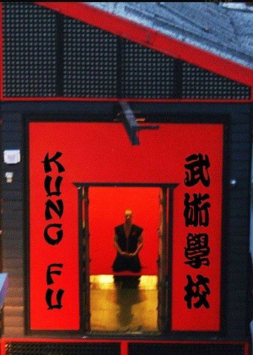 Wu-shu Academy - Australia Private Schools 4