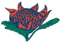 Hurstville South Public School - School Education 0