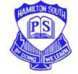 Hamilton South Public School - Australia Private Schools