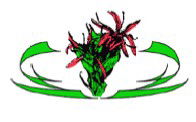 Gymea Technology High School - Australia Private Schools 0