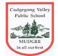 Cudgegong Valley Public School - Australia Private Schools