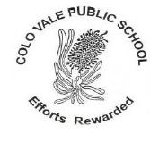 Colo Vale Public School - School Education
