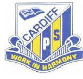 Cardiff Public School - Australia Private Schools