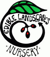 Northey Street City Farm - School Find 1