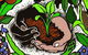 Northey Street City Farm - thumb 7