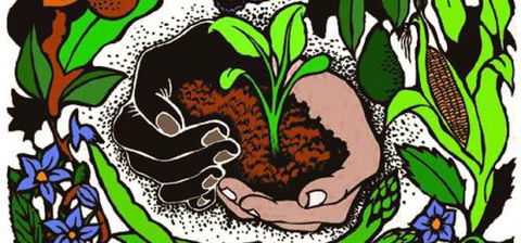 Northey Street City Farm - School Find 7