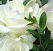 WeddingMakeups.com - Australia Private Schools