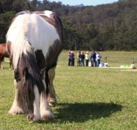 Unbridled Results - School Find