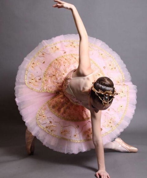 Leisa Payne School Of Dance - Australia Private Schools 2