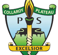 Collaroy Plateau Public School - School Education