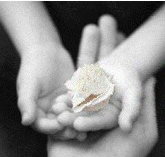 Castlecrag Montessori School - School Education