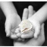 Castlecrag Montessori School - School Education 0