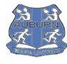 Auburn Public School - Australia Private Schools