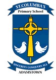 St Columba's Primary School Adamstown - School Education 0