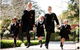 Abbotsleigh College - thumb 5