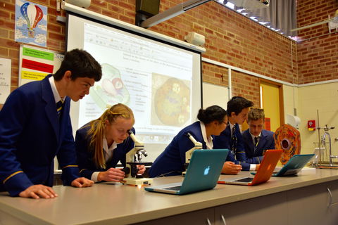 Gilroy Catholic College - School Education 7