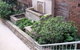 St Charles Primary School - thumb 7