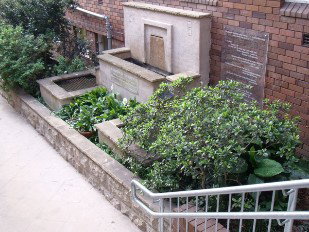 St Charles Primary School - Australia Private Schools 7