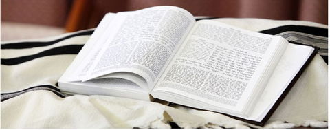 Mount Sinai College - Australia Private Schools 2