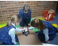 All Hallows Catholic Primary School - Australia Private Schools 1