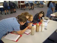All Hallows Catholic Primary School - Australia Private Schools 3