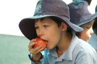 St Michael's Primary School Stanmore - Australia Private Schools 4