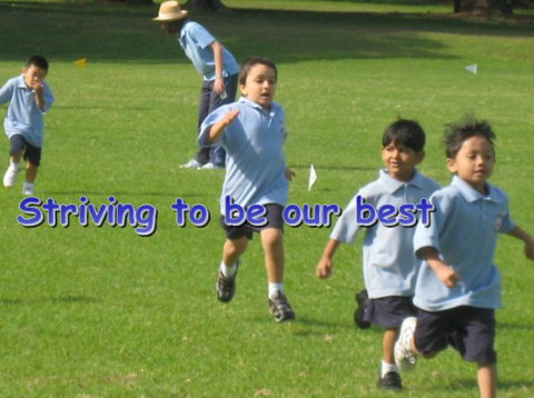 St Vincent's Primary School Ashfield - Australia Private Schools 5