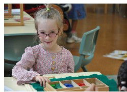 Sutherland Shire Montessori School - School Find 1