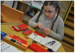 Sutherland Shire Montessori School - School Find 5