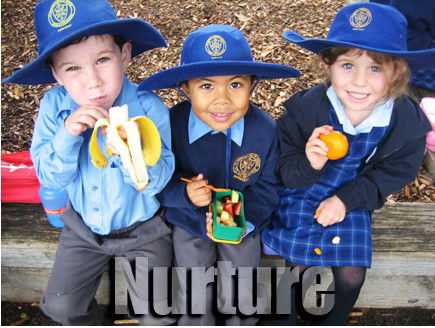 St Patrick's Primary School Sutherland - Australia Private Schools 3