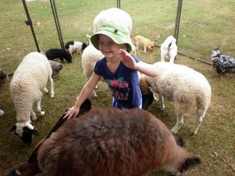 Eastside Little Learners Child Care Centre - School Find 1