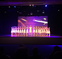 Dianne McLellan Dancers - School Find