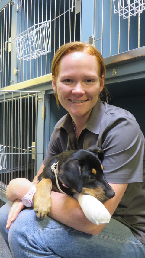 Grafton Veterinary Clinic - Australia Private Schools 0