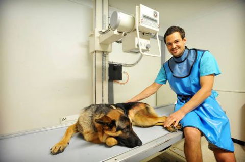 Pacific Vetcare - Australia Private Schools 0