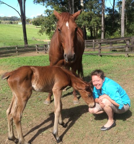 Pacific Vetcare - Australia Private Schools 5